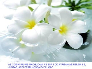 AS COISAS RUINS MACHUCAM, AS BOAS CICATRIZAM AS FERIDAS E,
JUNTAS, ACELERAM NOSSA EVOLUÇÃO.
 