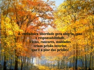 A verdadeira liberdade gera alegria,  paz  e responsabilidade. Vícios, rancores, maldades  criam prisão interior, que é a pior das prisões! Voltar 