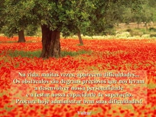 Na vida, muitas vezes, aparecem dificuldades... Os obstáculos são degraus preciosos que nos levam a desenvolver nossa personalidade e a testar nossa capacidade de superação. Procure hoje administrar bem suas dificuldades! Voltar 