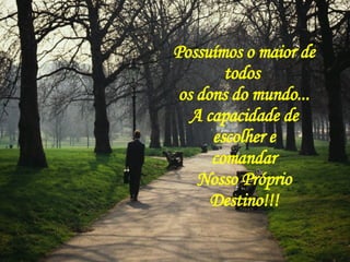 Possuímos o maior de todos  os dons do mundo... A capacidade de escolher e comandar Nosso Próprio Destino!!! 