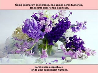 Como ensinaram os místicos, não somos seres humanos,
tendo uma experiência espiritual.
Somos seres espirituais,
tendo uma experiência humana.
 