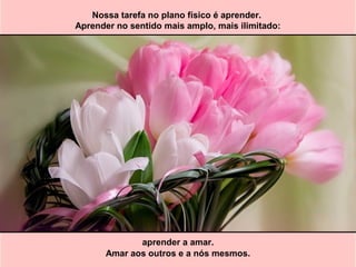 Nossa tarefa no plano físico é aprender.
Aprender no sentido mais amplo, mais ilimitado:
aprender a amar.
Amar aos outros e a nós mesmos.
 
