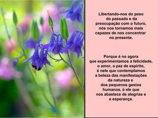 Libertando-nos do peso
do passado e da
preocupação com o futuro,
nós nos tornamos mais
capazes de nos concentrar
no presente.
Porque é no agora
que experimentamos a felicidade,
o amor, a paz de espírito,
é nele que contemplamos
a beleza das manifestações
da natureza e
dos pequenos gestos
humanos, é ele que
nos abastece de alegrias e
e esperança.
 