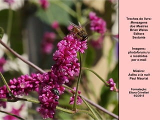 Trechos do livro:
Mensagens
dos Mestres
Brian Weiss
Editora
Sextante
Imagens:
photoforum.ru
e recebidas
por e-mail
Música:
Adieu a la nuit
Paul Mauriat
Formatação:Formatação:
Eliana CrivellariEliana Crivellari
9/2/20159/2/2015
 