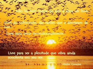Não há bem maior do que a alma ser livre;


Livre do sofrimento, das razões que a desviaram da
Luz...
 Livre para amar incondicionalmente...




  Livre para ser a plenitude que vibra ainda
  sonolenta em seu ser.
                                    Mestre Conscius
 