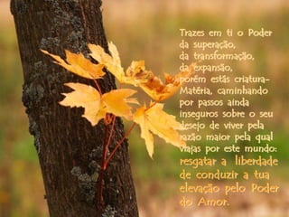 Trazes em ti o Poder
da superação,
da transformação,
da expansão,
porém estás criatura-
Matéria, caminhando
por passos ainda
inseguros sobre o seu
desejo de viver pela
razão maior pela qual
viajas por este mundo:
resgatar a liberdade
de conduzir a tua
elevação pelo Poder
do Amor.
 