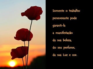 Somente o trabalho

perseverante pode

garanti-la

a manifestação

da sua beleza,

do seu perfume,

da sua Luz e cor.
 