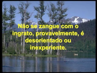 Não se zangue com o ingrato, provavelmente, é desorientado ou inexperiente.