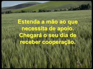 Estenda a mão ao que necessita de apoio. Chegará o seu dia de receber cooperação.