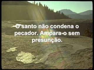 O santo não condena o pecador. Ampara-o sem presunção.