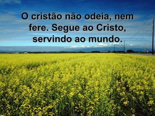 O cristão não odeia, nem fere. Segue ao Cristo, servindo ao mundo.