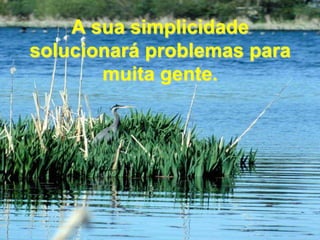 A sua simplicidade solucionará problemas para muita gente.