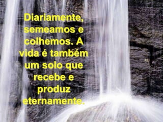 Diariamente, semeamos e colhemos. A vida é também um solo que recebe e produz eternamente. 