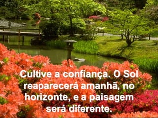 Cultive a confiança. O Sol reaparecerá amanhã, no horizonte, e a paisagem será diferente. 