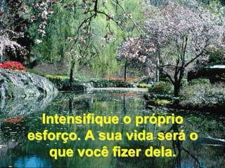 Intensifique o próprio esforço. A sua vida será o que você fizer dela.