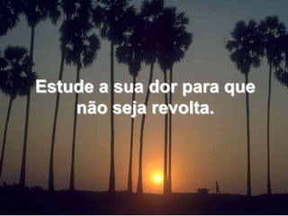 Estude a sua dor para que não seja revolta.