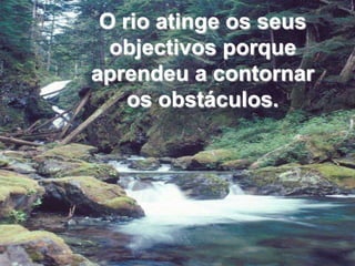 O rio atinge os seus objectivos porque aprendeu a contornar os obstáculos.