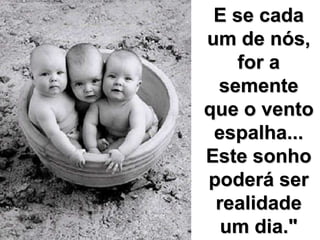 E se cada um de nós, for a semente que o vento espalha... Este sonho poderá ser realidade um dia."
