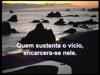 Quem sustenta o vício, encarcera-se nele.