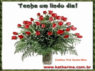 Créditos: Prof. Sandra Mara
 