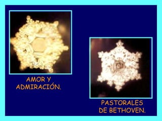 AMOR Y ADMIRACIÓN.PASTORALES DE BETHOVEN.