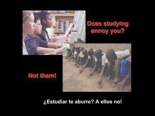 ¿Estudiar te aburre? A ellos no!   