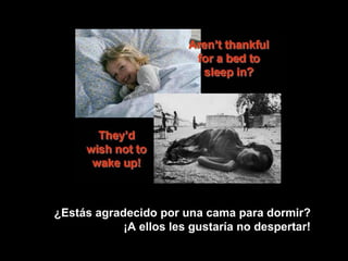 ¿Estás agradecido por una cama para dormir?  ¡A ellos les gustaría no despertar!   