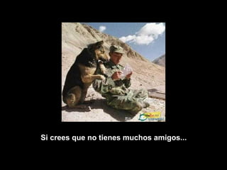 Si crees que no tienes muchos amigos...   