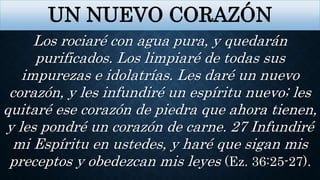 UN NUEVO CORAZÓN
Los rociaré con agua pura, y quedarán
purificados. Los limpiaré de todas sus
impurezas e idolatrías. Les daré un nuevo
corazón, y les infundiré un espíritu nuevo; les
quitaré ese corazón de piedra que ahora tienen,
y les pondré un corazón de carne. 27 Infundiré
mi Espíritu en ustedes, y haré que sigan mis
preceptos y obedezcan mis leyes (Ez. 36:25-27).
 