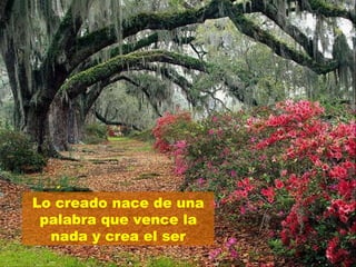 Lo creado nace de una palabra que vence la nada y crea el ser 