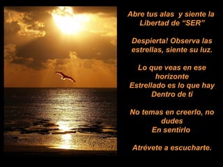 Abre tus alas  y siente la  Libertad de “SER” Despierta! Observa las estrellas, siente su luz. Lo que veas en ese horizonte Estrellado es lo que hay Dentro de ti No temas en creerlo, no dudes En sentirlo  Atrévete a escucharte. 