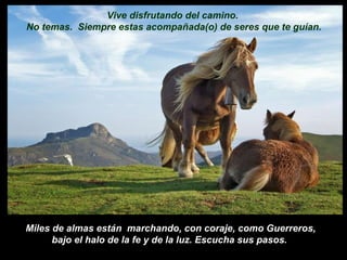 Miles de almas están  marchando, con coraje, como Guerreros, bajo el halo de la fe y de la luz. Escucha sus pasos.  Vive disfrutando del camino.  No temas.  Siempre estas acompañada(o) de seres que te guían. 