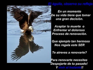 El águila, observa su reflejo En un momento De su vida tiene que tomar  una gran decisión. Aceptar la muerte  o Enfrentar el doloroso  Proceso de renovación. Que ejemplo tan hermoso Nos regala este SER Te atreves a renovarte? Para renovarte necesitas  Despojarte de tu pasado!  Y  vivir el Instante !! 