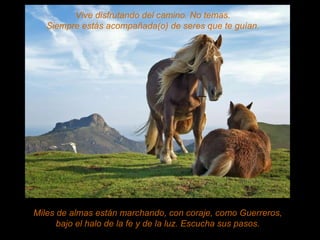 Miles de almas están marchando, con coraje, como Guerreros,  bajo el halo de la fe y de la luz. Escucha sus pasos.  Vive disfrutando del camino. No temas. Siempre estás acompañada(o) de seres que te guían. 