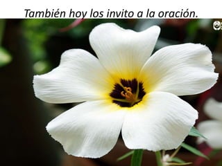 También hoy los invito a la oración.

 