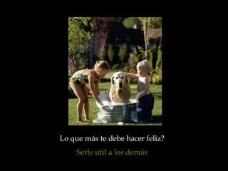 Lo que más te debe hacer feliz?
     Serle útil a los demás
 