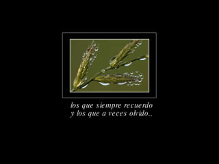 y los que a veces olvido.. los que siempre recuerdo 