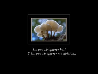 los que sin querer herí Y los que sin querer me hirieron.. 