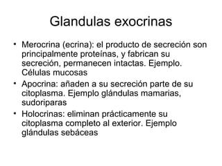 Mensajeros químicos (comunicacion celular) | PPT