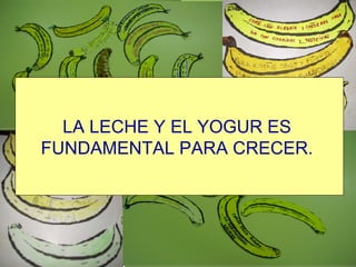 LA LECHE Y EL YOGUR ES  FUNDAMENTAL PARA CRECER.   