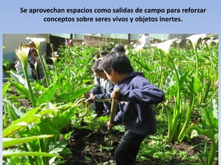 Se aprovechan espacios como salidas de campo para reforzar conceptos sobre seres vivos y objetos inertes.