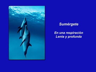 Sumérgete En una respiración Lenta y profunda 