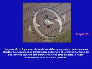 Ha aparecido en Inglaterra, el círculo mandalas, que aparecen en los campos abiertos. Este círculo es un llamado para despertar a la Humanidad. Parece ser que viene de seres de otra dimensiones o de otros planetas. Y llegan exactamente en el momento perfecto. Despierten 