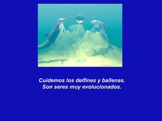 Cuidemos los delfines y ballenas.  Son seres muy evolucionados.  