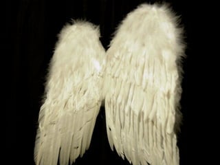 CREANDO FUTURO
EMPREAR
@fernandojohann
 