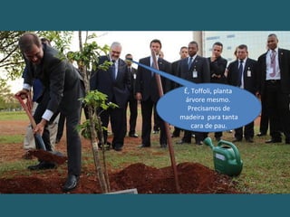 É, Toffoli, planta
árvore mesmo.
Precisamos de
madeira para tanta
cara de pau.
 