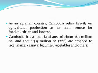  As an agrarian country, Cambodia relies heavily on
agricultural production as its main source for
food, nutrition and in...