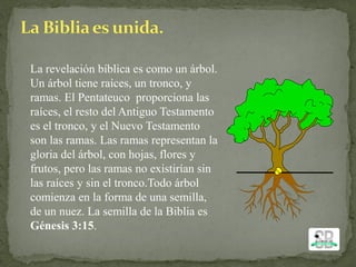 La revelación bíblica es como un árbol.
Un árbol tiene raíces, un tronco, y
ramas. El Pentateuco proporciona las
raíces, el resto del Antiguo Testamento
es el tronco, y el Nuevo Testamento
son las ramas. Las ramas representan la
gloria del árbol, con hojas, flores y
frutos, pero las ramas no existirían sin
las raíces y sin el tronco.Todo árbol
comienza en la forma de una semilla,
de un nuez. La semilla de la Biblia es
Génesis 3:15.
 
