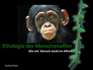 Ethologie der Menschenaffen
Wie viel Mensch steckt im Affen?
Cordula Payer
 