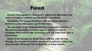 Forest
Human intervention in temperate regions has destroyed vast
areas of forest in order to use the soil for agriculture.
Nowadays, the temperate forest with primitive features is
limited to a few thousand square kilometers.
The decrease of the forested area has involved a reduction of
the animal population in those regions, with some species
changing their overall diet, according with the crops that exist in
those areas.
Areas of the temperate forest have suffered, with climate
change, an increase of invasive species and pollution, which has
dramatically influenced the biodiversity of those regions
 